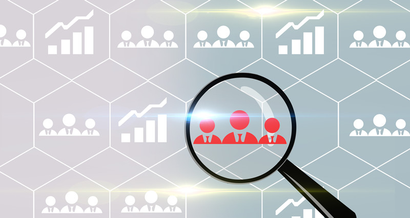 IT人力资源综合服务,IT解决方案,解决方案服务案例